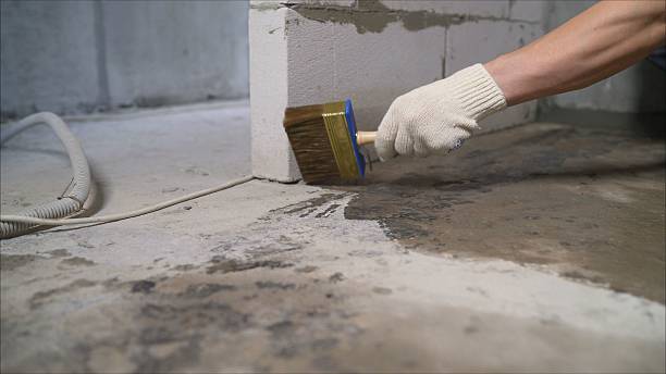 SJ Waterproofing Pros Waterproofing coverage map for Dundee, NY and surrounding area